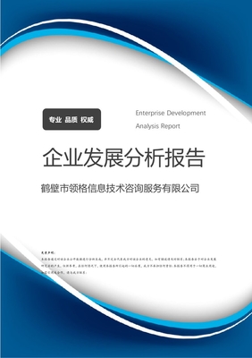 鶴壁市領(lǐng)格信息技術(shù)咨詢服務(wù)企業(yè)發(fā)展分析報(bào)告